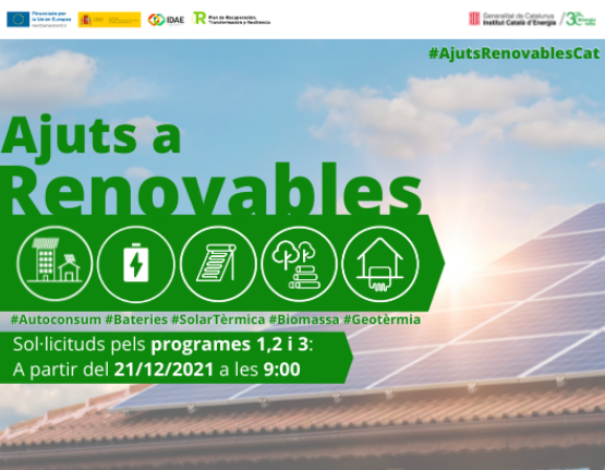 Ajuts a l'autoconsum i emmagatzematge amb fonts d'energia renovable